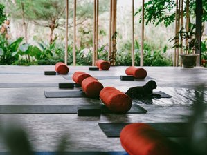 5 Day 30-hour Yin Yoga Teacher Training in Bali, Indonesia: A Holistic Journey to Yoga and TCM