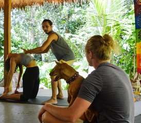 Retraite de yoga de 7 jours pour voyageurs solitaires – Bien-être, culture et aventure à Bali, en Indonésie - Photo 2