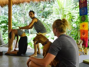 8 Day Wellness Yoga Retreat in Ubud, Bali
