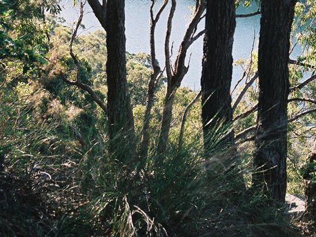 The Pocket, New South Wales