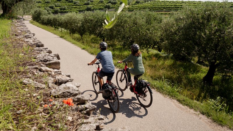 8 Day From Lake Garda to Venice Self-Guided Bike Tour in Italy