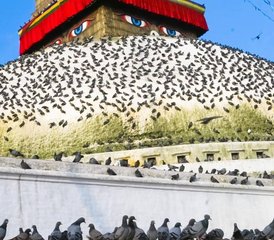 6 Day Trekking and Yoga Tour in Nepal - Photo 5