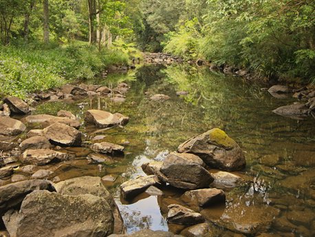 Maleny, Queensland