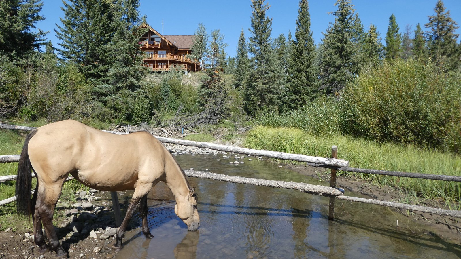 Big creek. Ранчо в Канаде. Warm Springs ранчо.