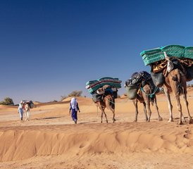 11 jours de stage au Maroc pour femmes – caravane dans le désert, yoga, danse et force vitale féminine - Photo 4