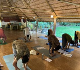 12 Tage 100-Stunden-Yoga-Lehrer-Ausbildungskurs in Mysore, Indien - Photo 3