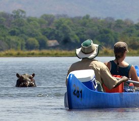 710 Tage Kanufahren am Unteren Sambesi und Safari im Kafue-Nationalpark in Sambia - Photo 1