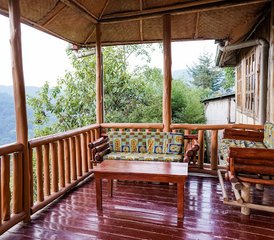 2 días de safari de trekking con gorilas en Uganda en el Parque Nacional Impenetrable de Bwindi - Photo 4