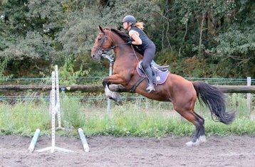 8 Tage Angepasstes Training im Pferdespringen (Hunter-Style) mit Ausritten im Freien in Mimizan, Landes, Frankreich