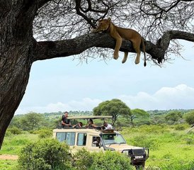 3 Tage private Mittelklasse-Safari in den Serengeti-Nationalpark und zum Ngorongoro-Krater in Tansania - Photo 5