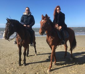 2 Day Private Horseback Riding Holiday on the Beach in Gaio-Rosario, Portugal with Tranfer - Photo 5