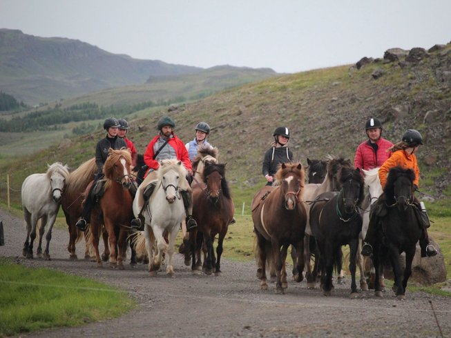 5 Day Home at Hestasport Horse Riding Holiday in Skagafjörður ...