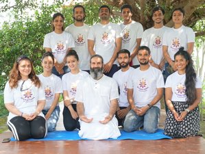 300-Stunden D'vine Yoga Selbstbestimmte Online Multi-Style Yogalehrer Ausbildung