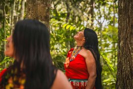 Ayahuasca Retiros y Viajes