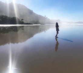 24 jours-200h en formation de professeur de yoga au cœur de la jungle luxuriante de Dominical, Costa Rica - Photo 5