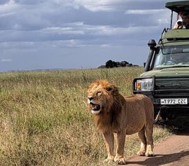 7 Día Safari Privado por lo Mejor de Tanzania: Experiencia de la Migración de Ñus en el Serengeti - Photo 4
