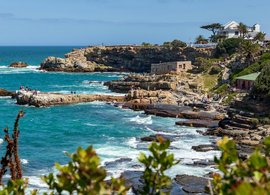 Hermanus Retraites en Reizen