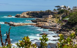 Hermanus Retreats & Trips