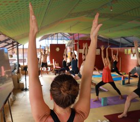 1028 jours-300h en formation de professeur de yoga ashtanga, hatha et flow dans le Kerala, Inde - Photo 1