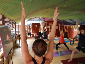 28 Tage 300-Stunden Ashtanga, Hatha und Flow Yogalehrer Ausbildung in Varkala, Kerala