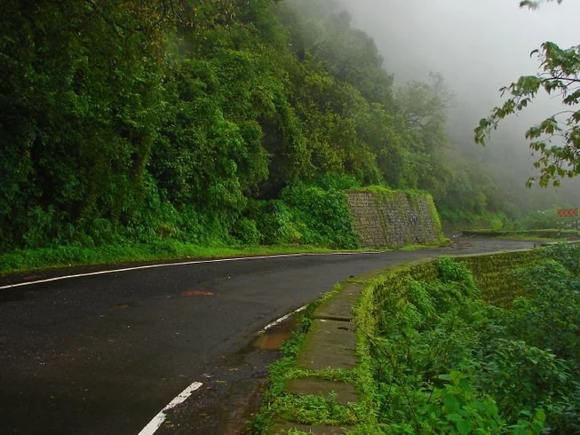 10 Day "The Planters Punch" Guided Loop Motorcycle Tour in Kerala, Tamil Nadu, and Karnataka photo 5