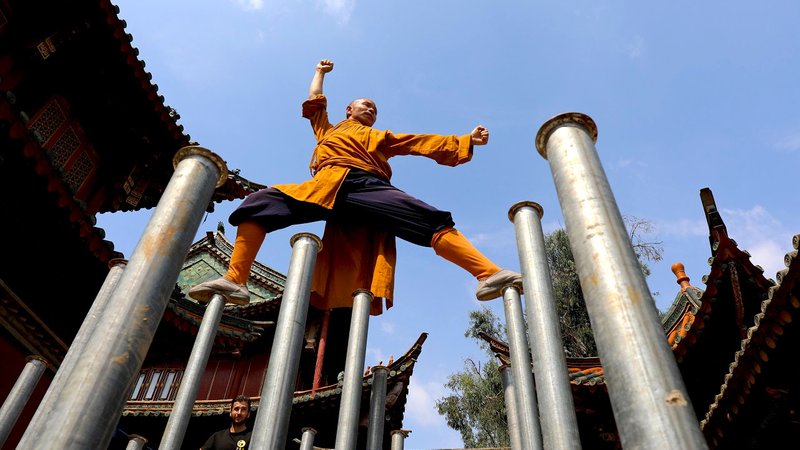 14 Day Self-Paced Online Shaolin Head and Neck Health Training: Part 1 of Movement Medicine