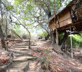 5 Day Lodge and Treehouse Safari in Balule Nature Reserve and Kruger National Park, South Africa - Photo 2