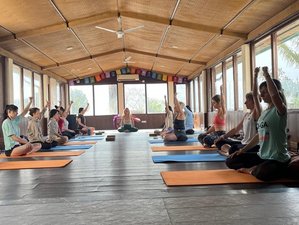 8 jours en stage sur les 7 chakras à Tapovan, Inde