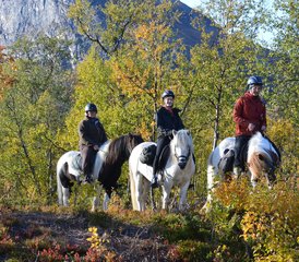 4 Tage Wohlfühl-Reiten in den Kebnekaise-Bergen - Photo 5