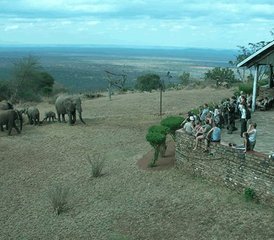 94-Daagse Safari Pakket vanaf Mombasa tot Taita Hills Salt Lick, Tsavo-West en Amboseli in Kenia - Photo 1