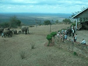 4-Daagse Safari in Tsavo-West en Amboseli, Kenia