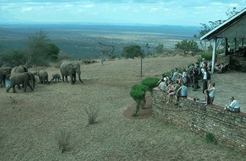 4 jours en stage de safari routier au Kenya de Mombasa à Taita Hills Salt Lick, Tsavo West et Amboseli