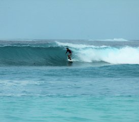 11 Day Mikado (Farms) and Finimas Surf Camp in Thimarafushi, Thaa Central Atolls, Maldives - Photo 3