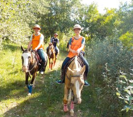 2 Day Horse Riding Holiday in Capilla del Señor, Buenos Aires Province - Photo 3