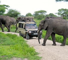 5 jours safari en groupe en Tanzanie au Serengeti, lac Manyara, Tarangire et cratère du Ngorongoro, Tanzanie - Photo 2