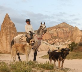 7 Tage Feenkamine Reiturlaub in Avanos, Türkei - Photo 2