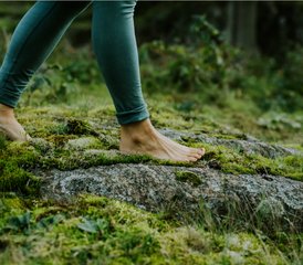 6 Day Summer Retreat: Yoga and Dance Experience in Kärlingesund, West Coast Sweden - Photo 2