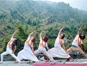 14 jours en stage de yoga : liberté du corps et transformation à Dharamshala, Inde