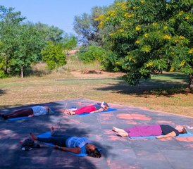 5Retiro de 7 días de yoga, bienestar y experiencias vivenciales en Jaipur, India - Photo 1