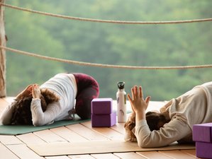5 Day Yin and Somatic Yoga Retreat in Maryville, Tennessee, US