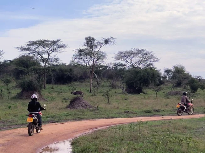 5 Day Uganda Gorilla Express Guided Motorcycle Tour photo 2