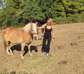 5 Day Horse Riding Holiday in North Evia, Greece with Views over the Aegean Sea and the Mainland - Photo 5