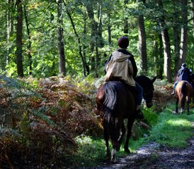 2 Day Horse Riding Holiday in the Heart of the Chantilly Region - Photo 2