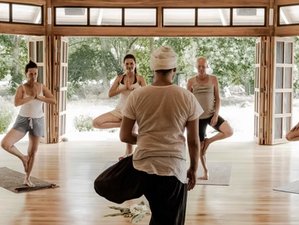 14 Day The Heart of Practice: TRU Yoga School Immersion in Uvita, Costa Rica