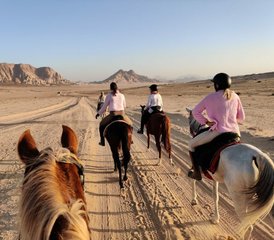 19 Day Petra and Wadi Rum Horse Riding Tour in Jordan - Photo 1