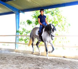 08 Day / 7 Night Horse Riding Experience in a Family Cortijo, Mollina, Malaga, Spain - Photo 1