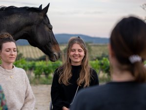 2 Tage Yoga und Meditation mit Pferden Retreat in Barcelona