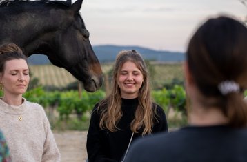 3 Day Yoga and Meditation with Horses Retreat near Barcelona, Spain
