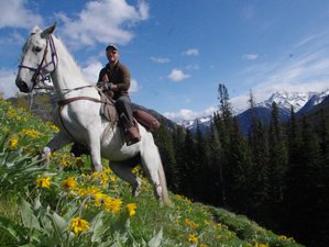 5-Daagse Ranch Gebaseerde Beren Tracking en Natuurbehoud Paardrijvakantie in British Columbia Canada