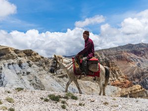 12 jours d’aventure himalayenne : expédition à cheval dans le Mustang, Népal